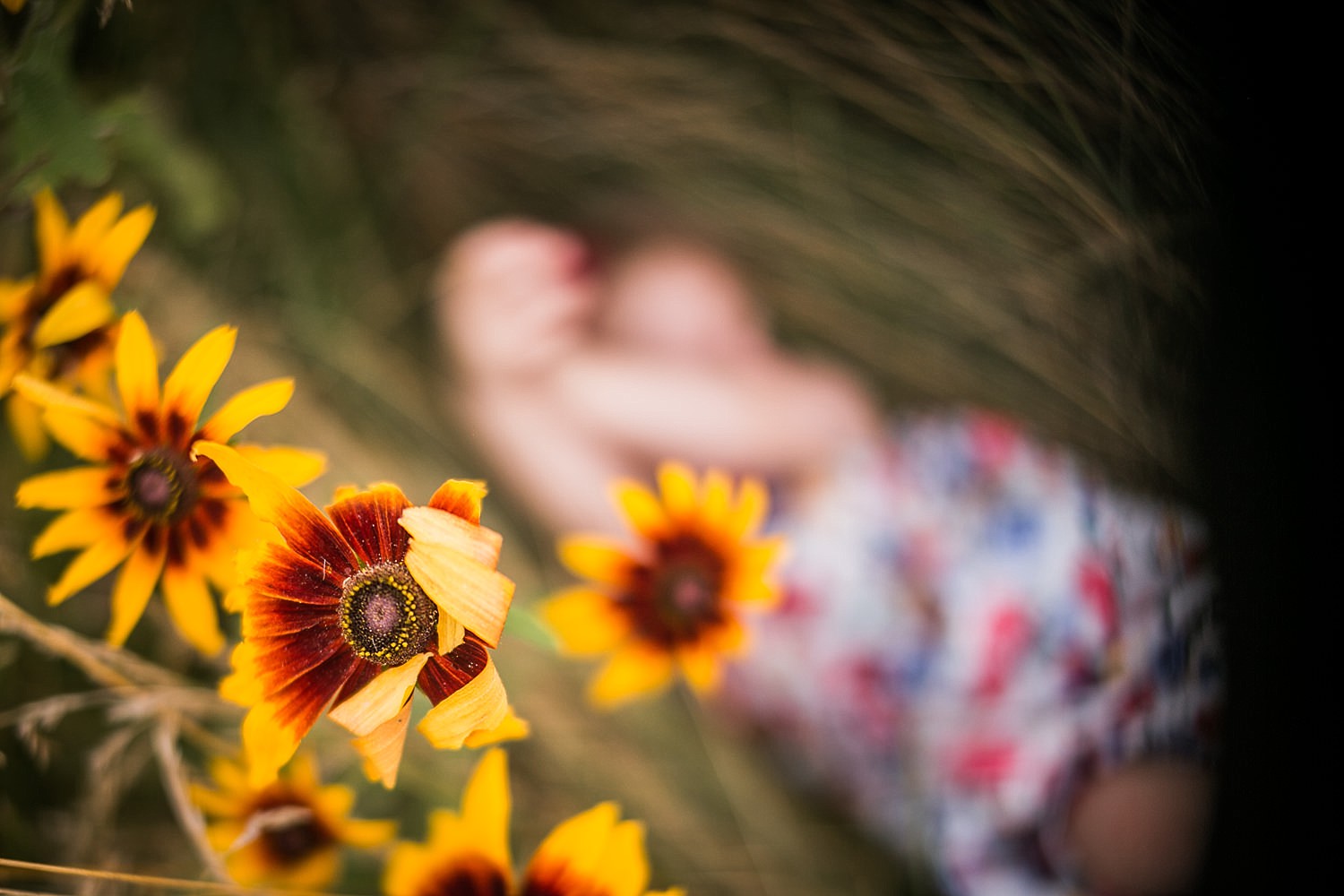 Lititz_family_photographer_wildflower_field-21.jpg