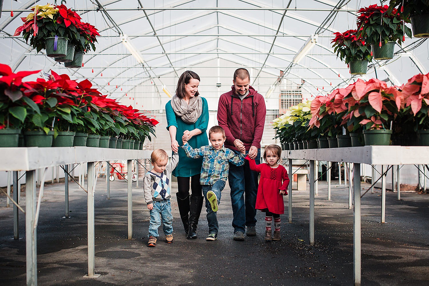  Photo of a family of five walking through a greenhouse with poinsettias on both sides. 