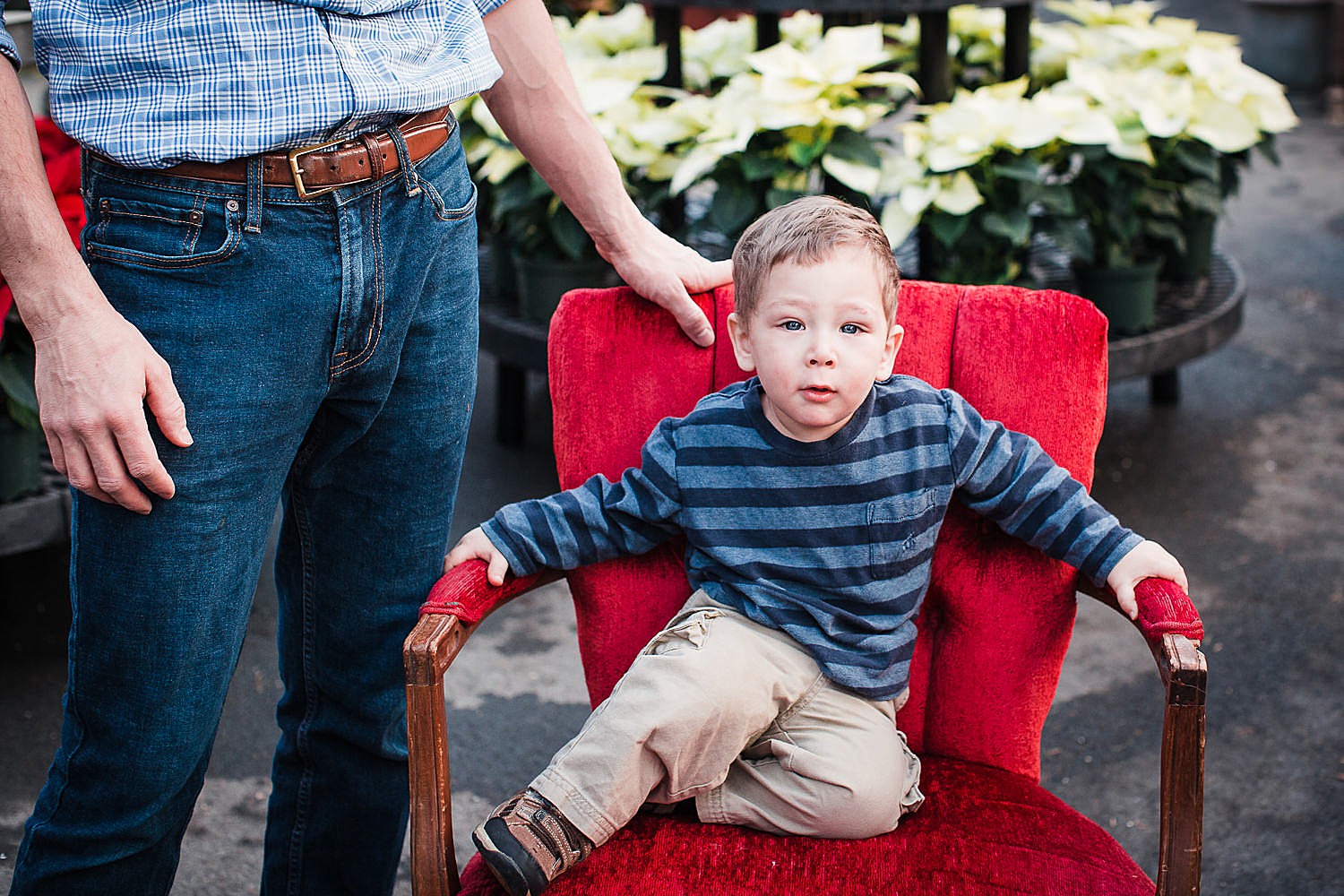 freys_greenhouse_christmas_mini_session_photography_5.jpg