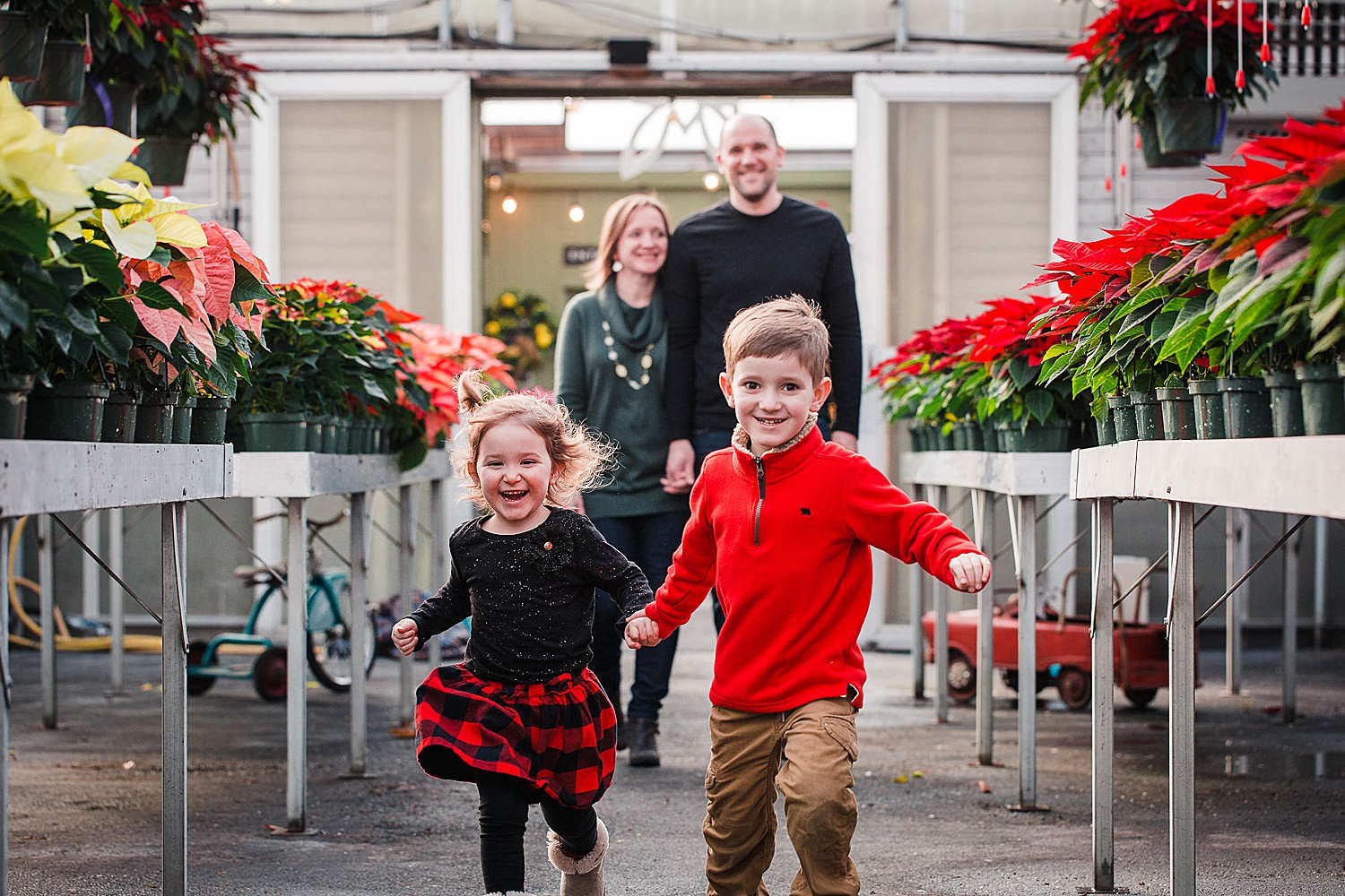  Photo of a boy and a girl holding hands and running through a greenhouse full of poinsettias. 