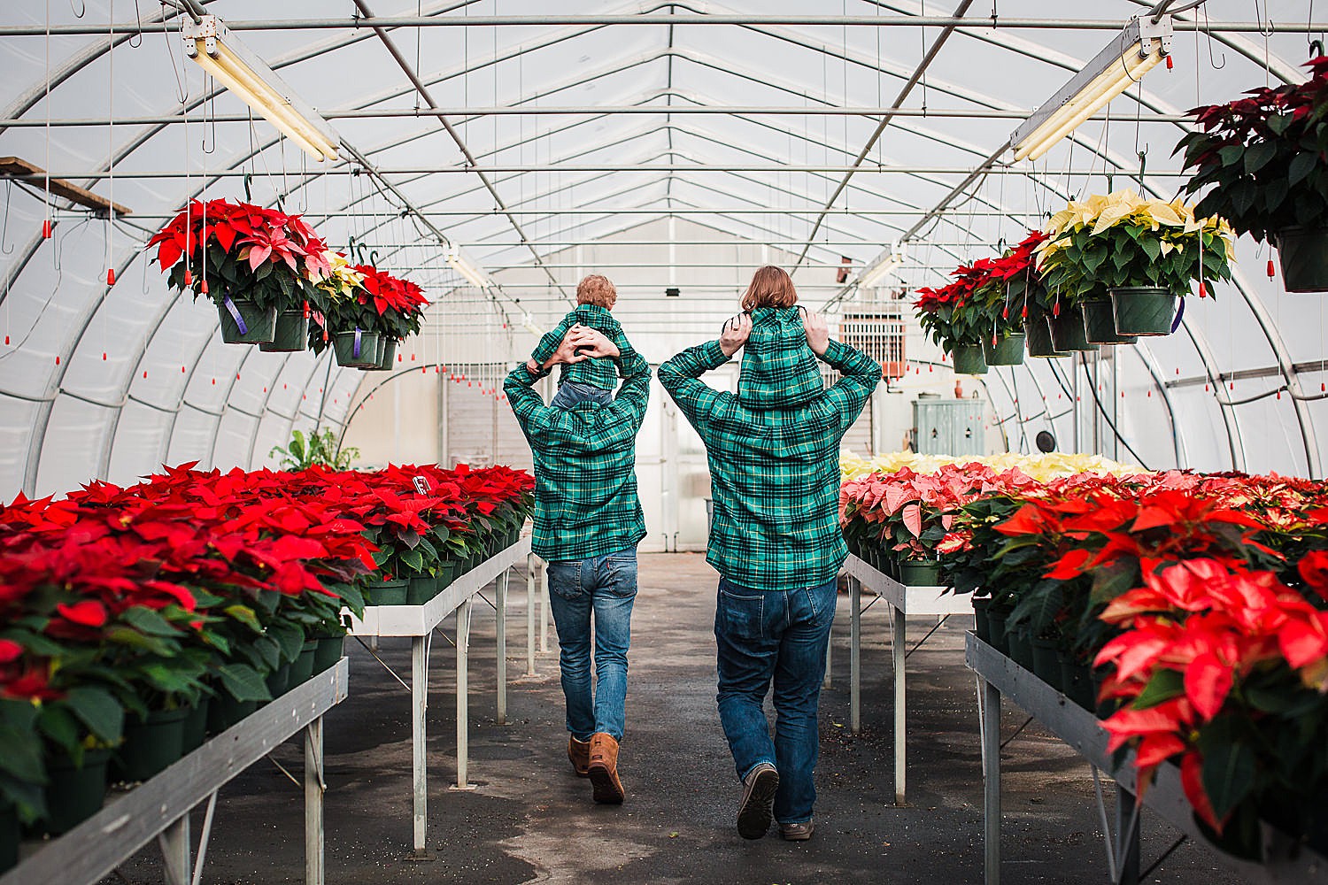  Photo of two dads walking through a greenhouse with kids on their shoulders at Christmas time. 
