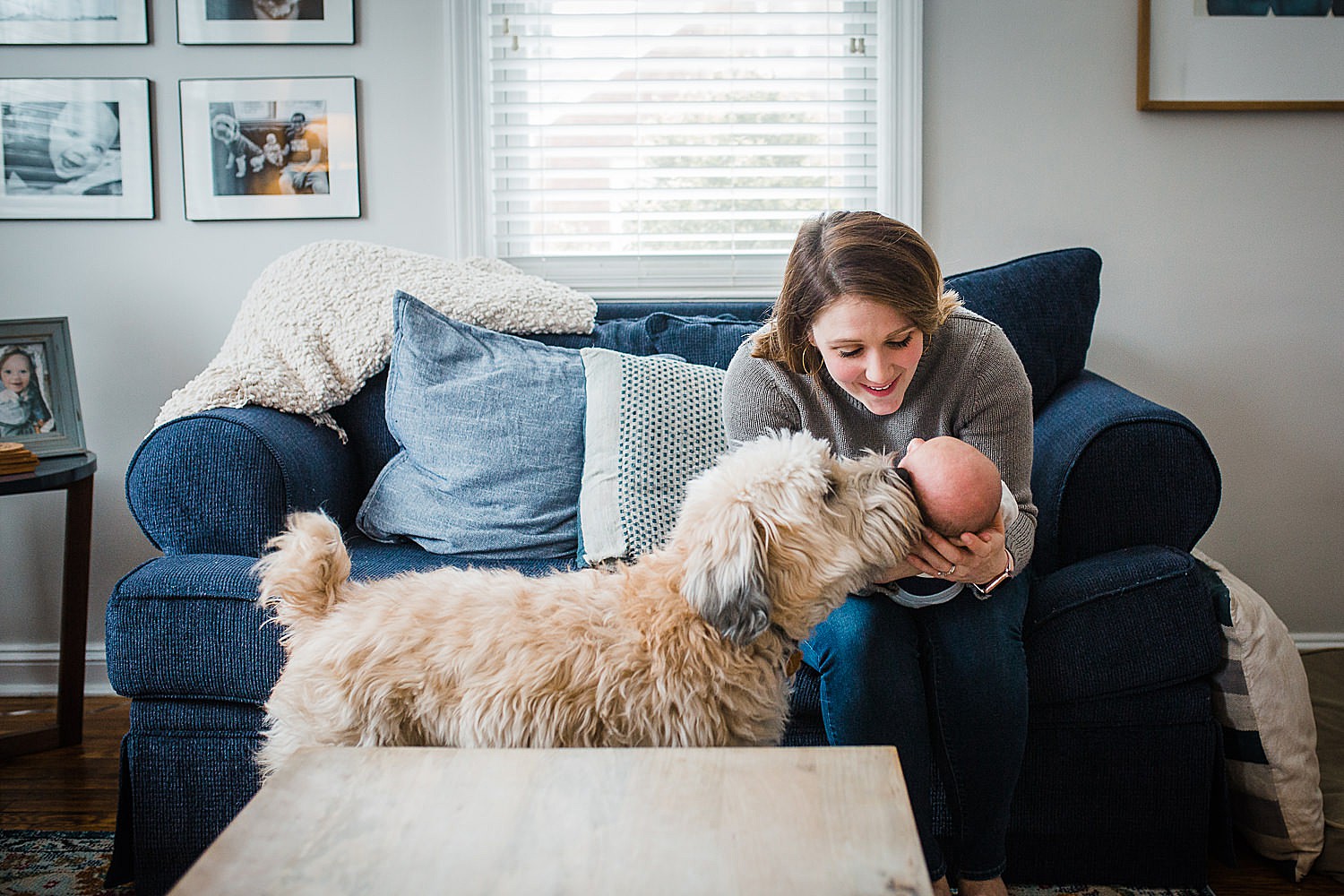  Photo of a mother smiling down at her newborn son while the family dog sniffs his head. 