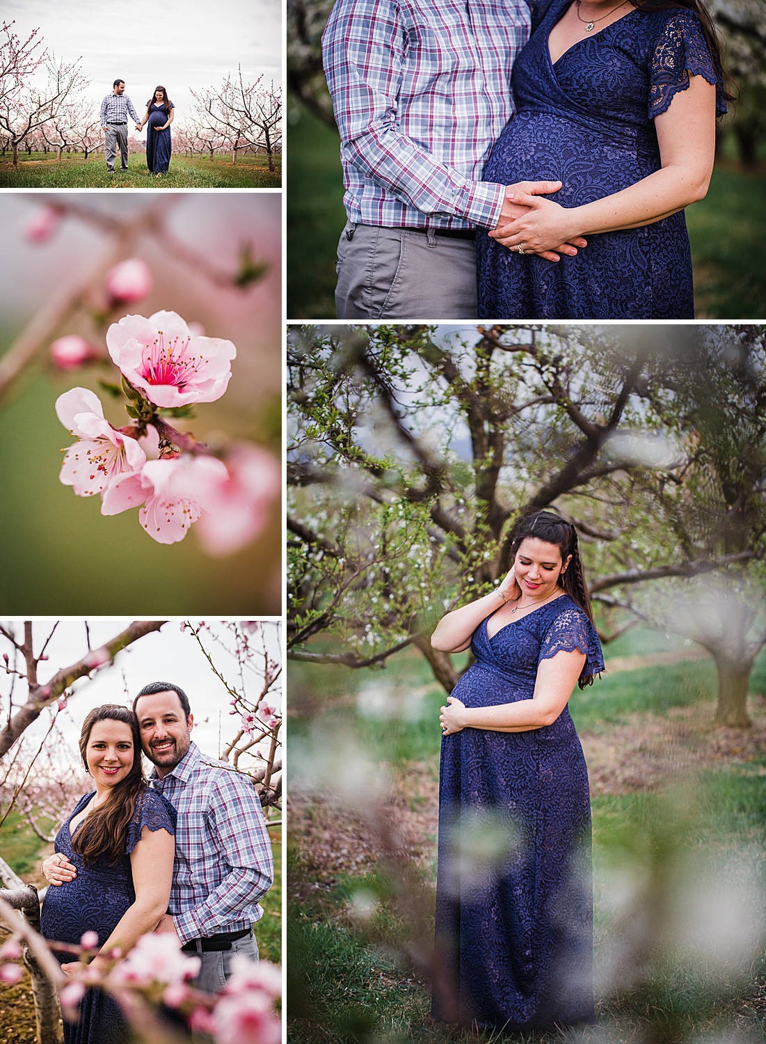 Spring maternity session in a blooming orchard Lancaster, PA