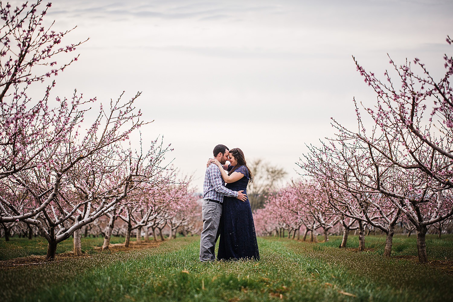  Photo of a pregnant woman in a blue lace dress standing with her husband in an orchard of flowers. 