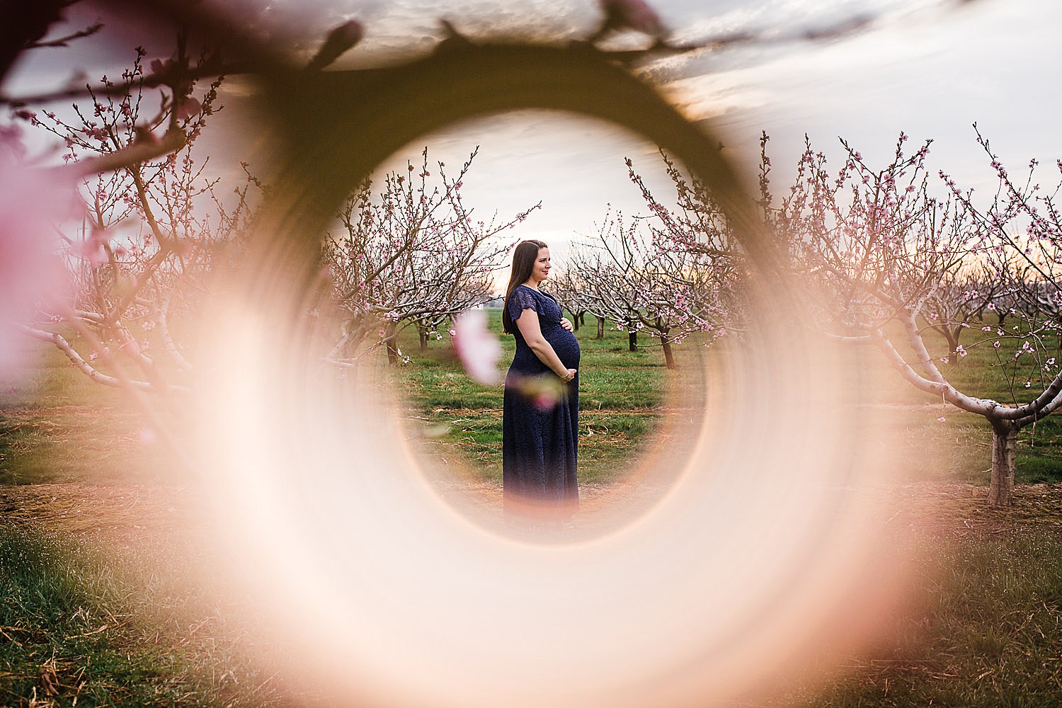 Kauffman's Orchard maternity session in Lancaster, PA