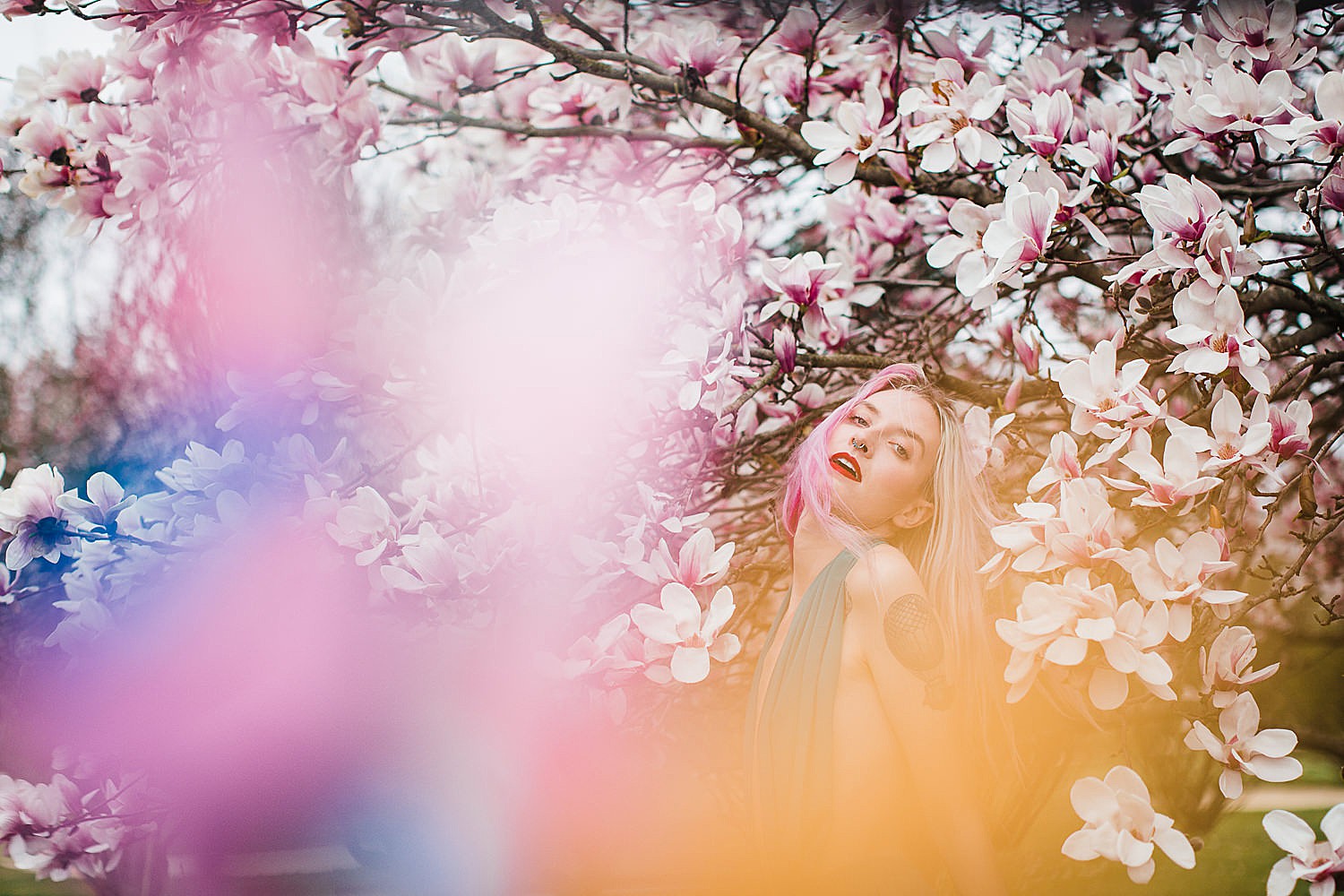  Photo of a young woman with pink hair and a teal dress standing in a tree of magnolia blossoms. 