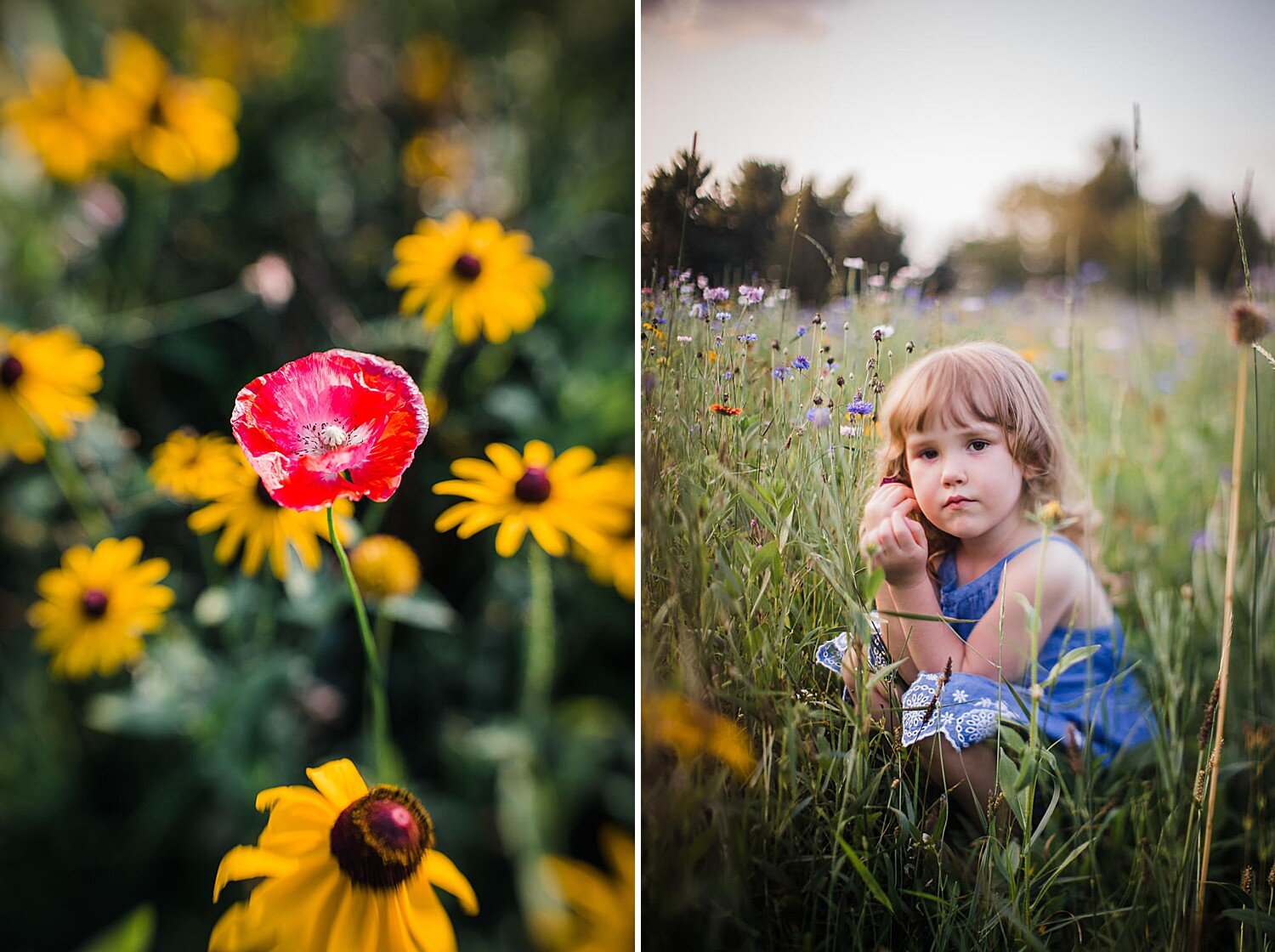 Colorful summer little girl in a wildflower field