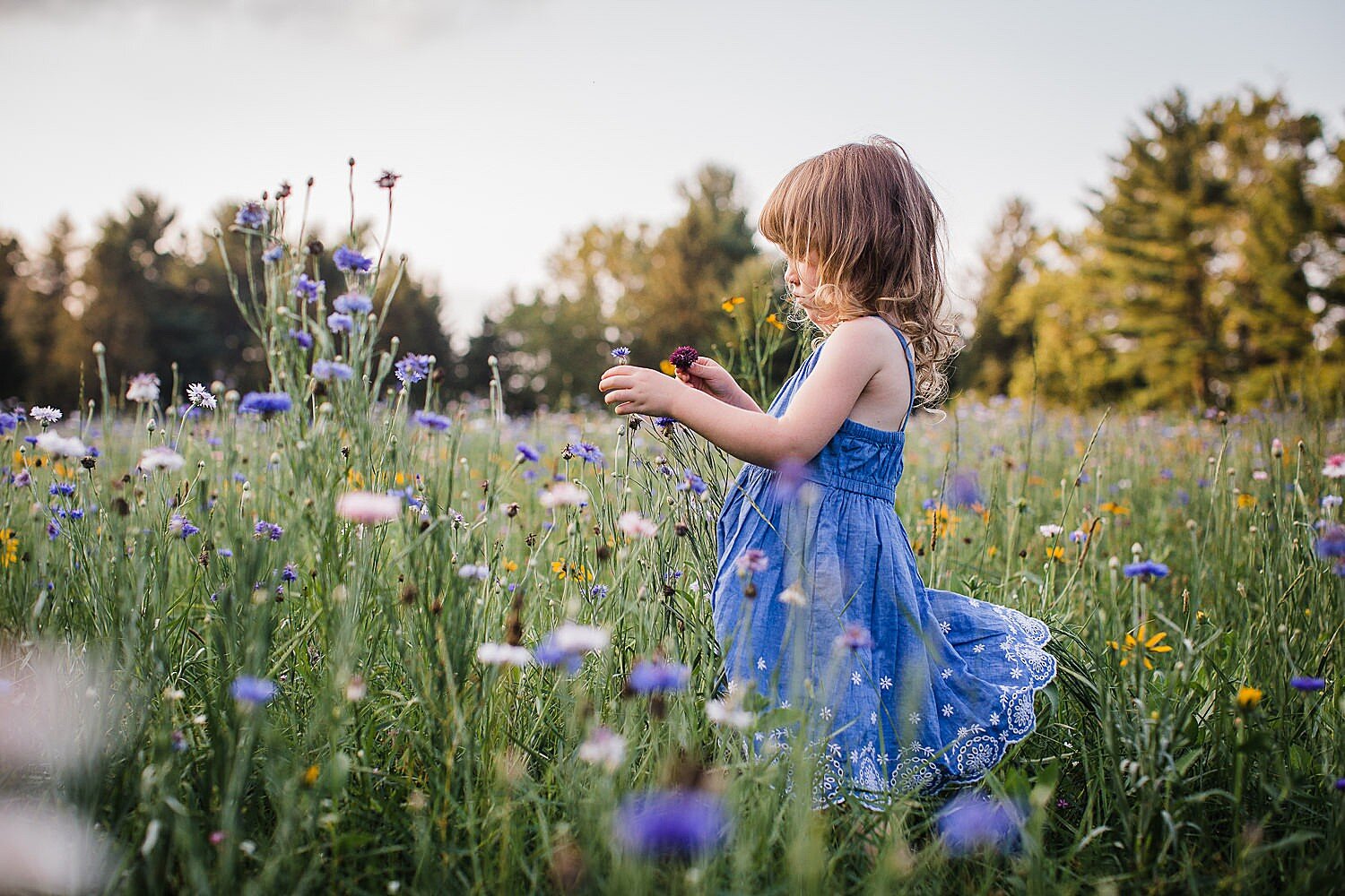 Colorful summer girl in a wildflower field