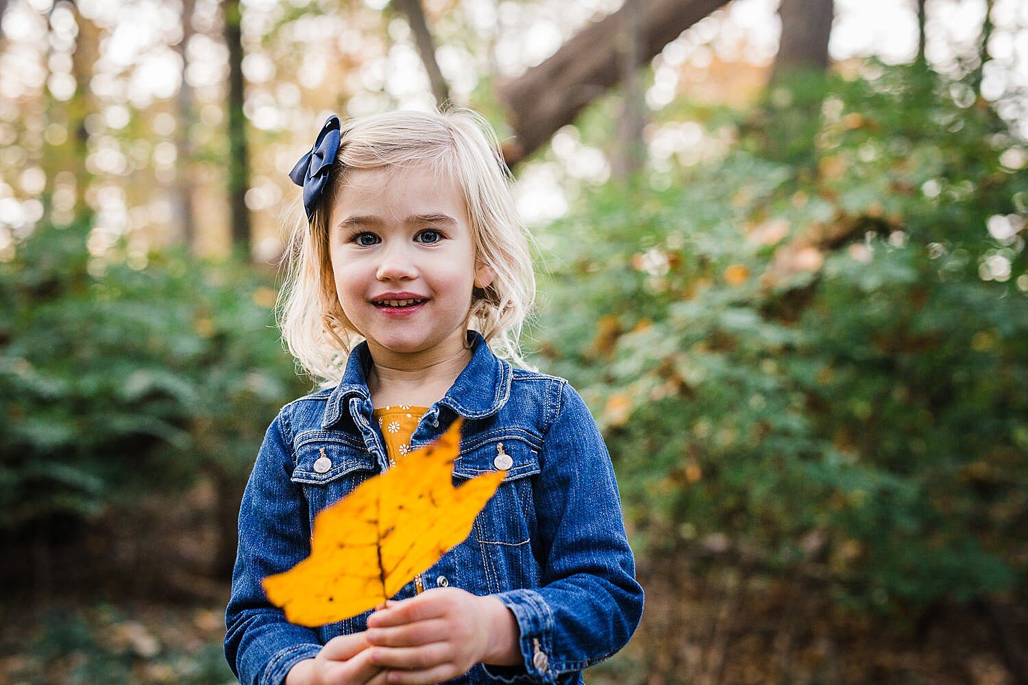 Lancaster_family_photographer_landis_woods_fall_11.jpg