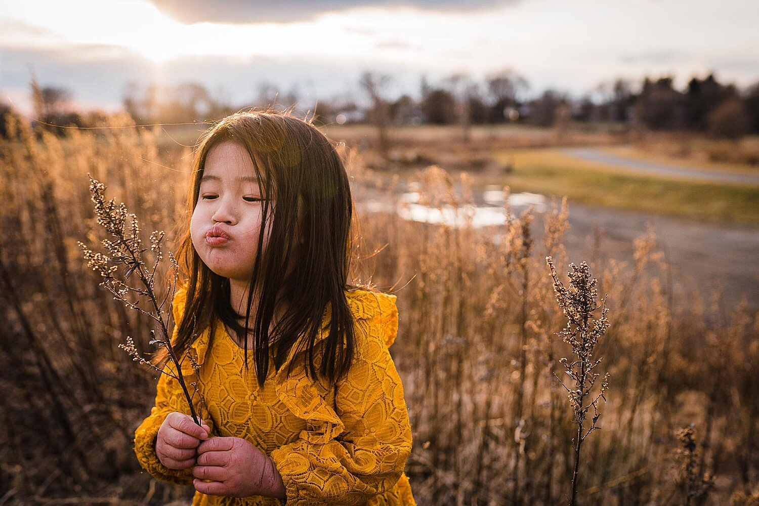  Asian girl in a yellow dress standing in a field blowing a flower at sunset. 