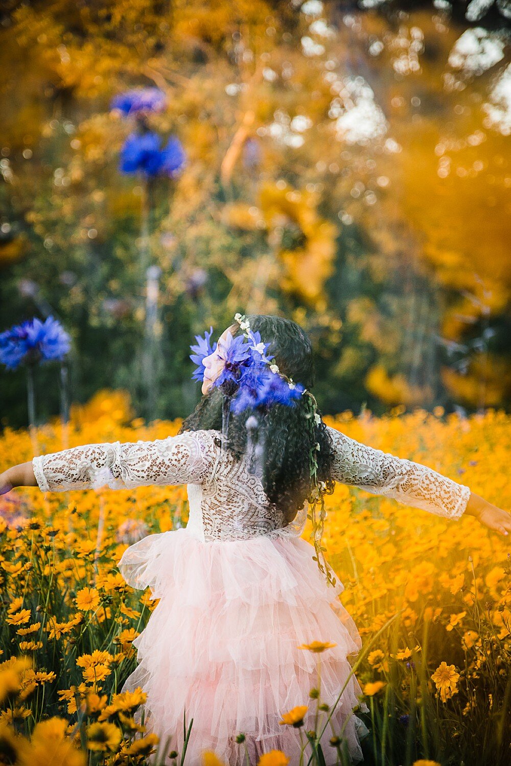 Lancaster_family_photographer_summer_wildflowers1.jpg