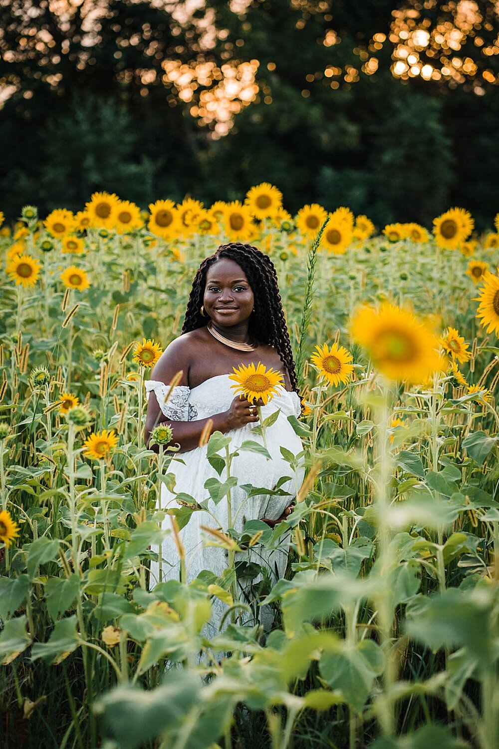 maternity session in a sunflower field in York, PA