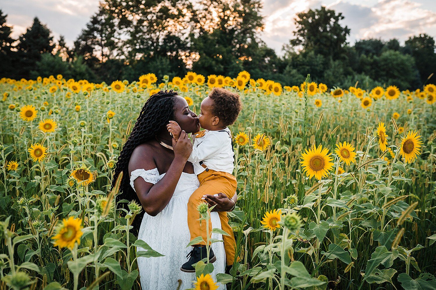 york maternity session in the sunflower field