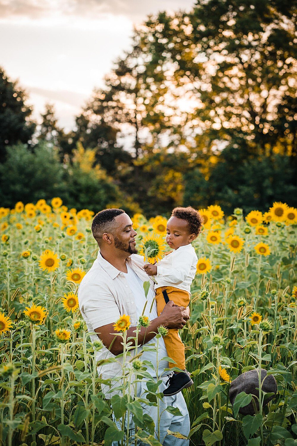 york family photography sunflower field