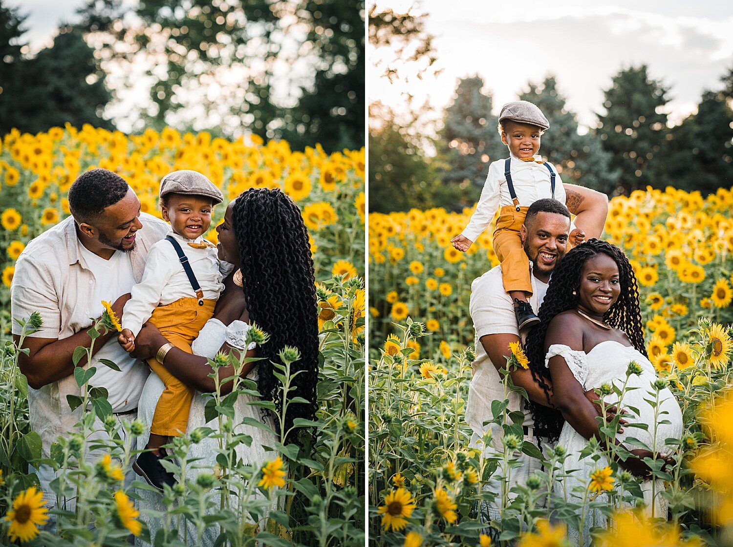 family sunflower photo session