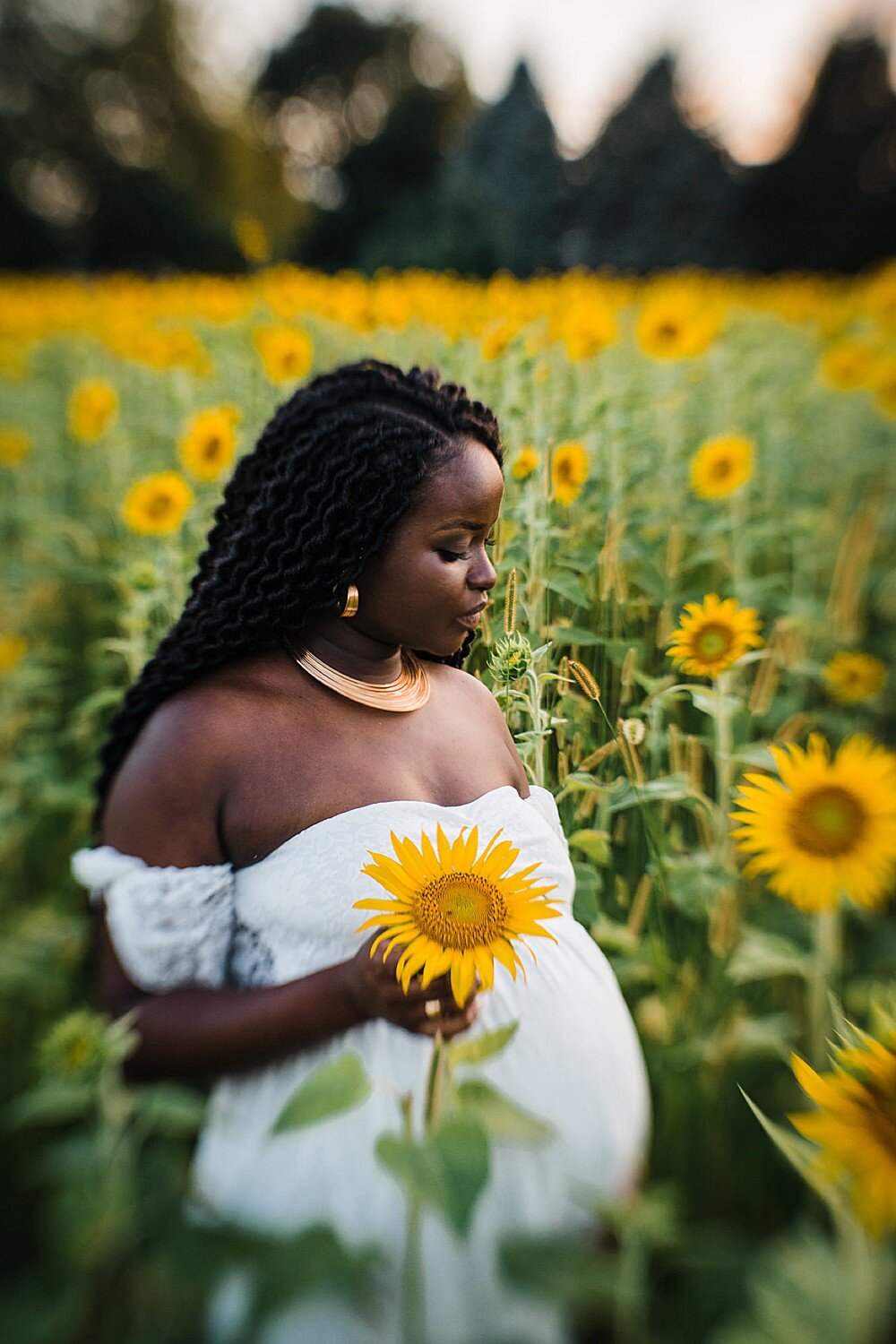 York_sunflower_maternity_photography14.jpg