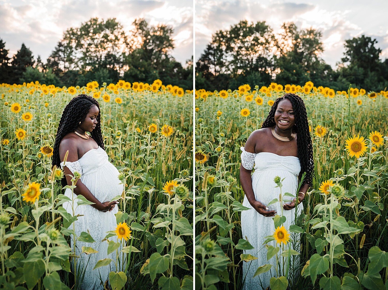 York maternity session sunflower field