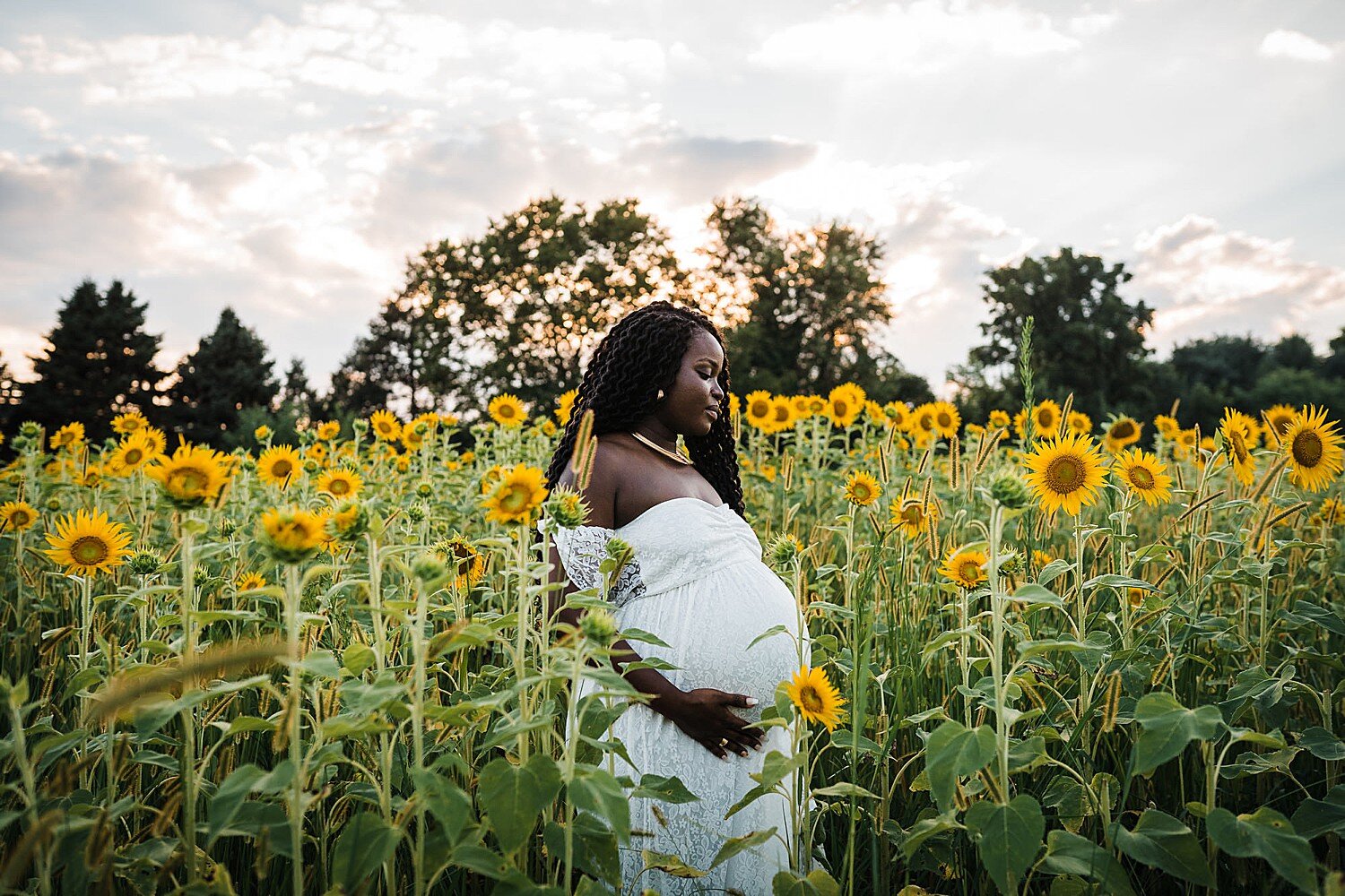 york maternity session sunflower field