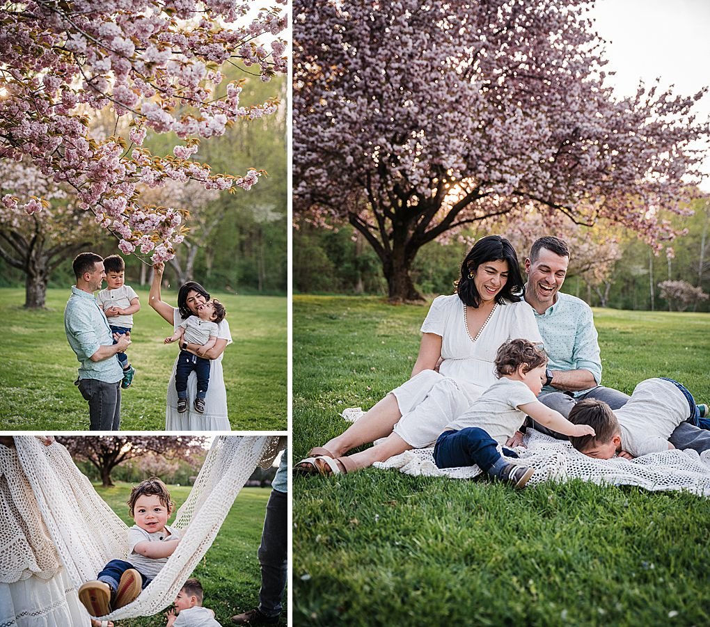 spring cherry blossom family photo session