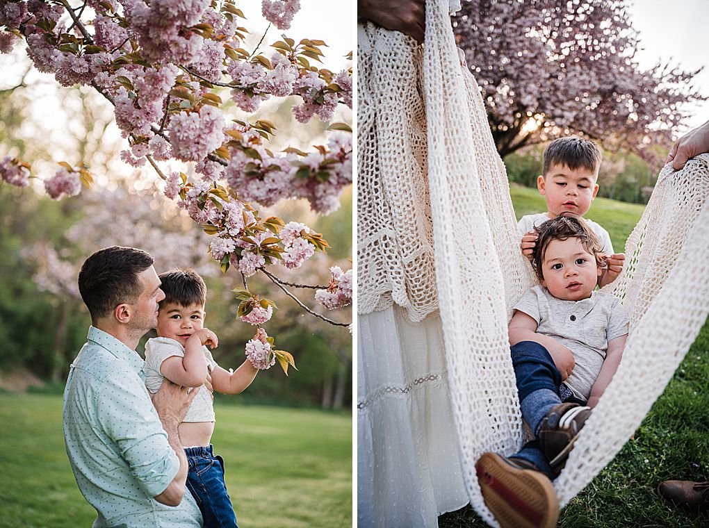 spring family photo in the cherry blossoms