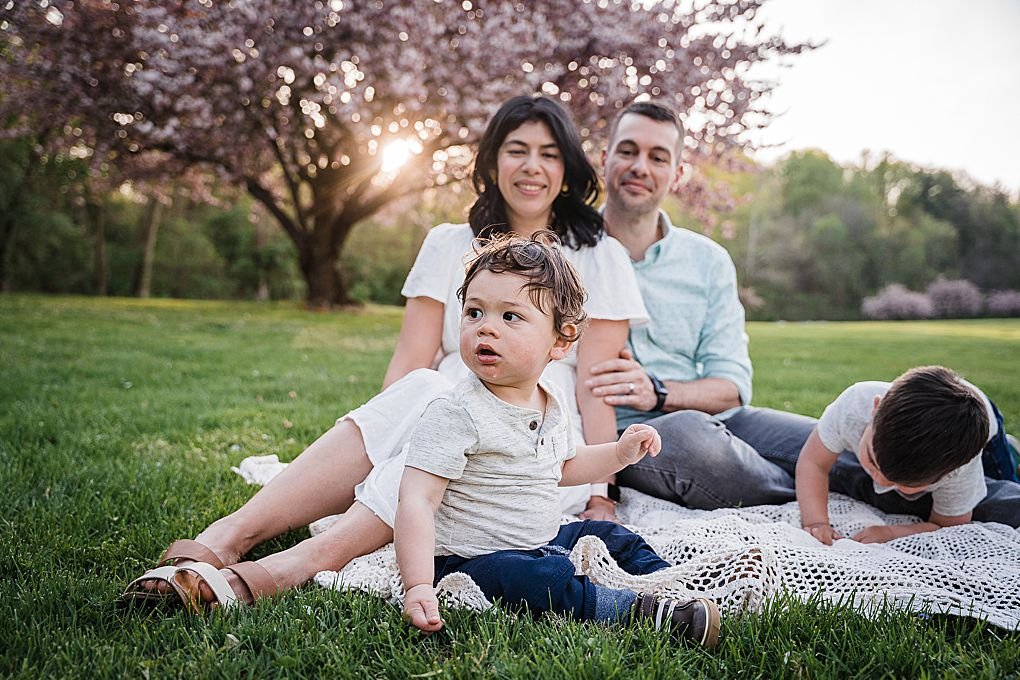 Spring_cherry_blossoms_Lancaster_family_photo_9.jpg