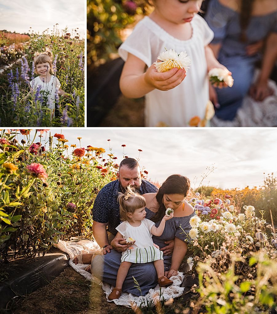 family in a flower field