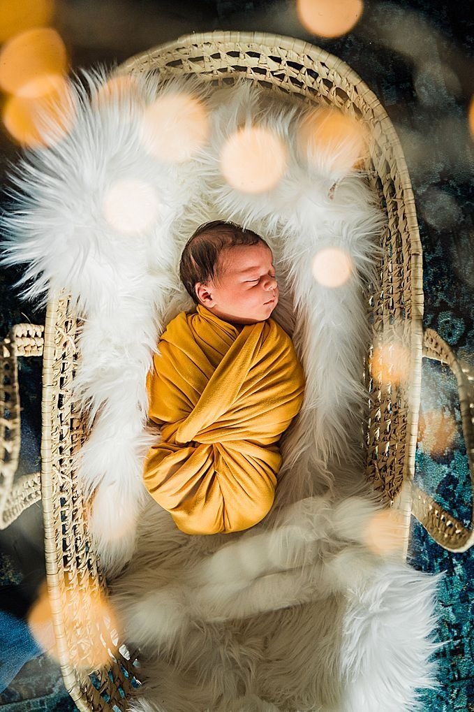 newborn baby boy lying in a moses basket