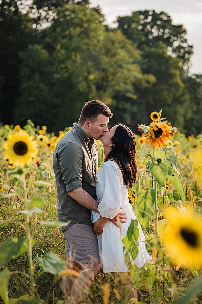 couple in a sunflower field at sunset