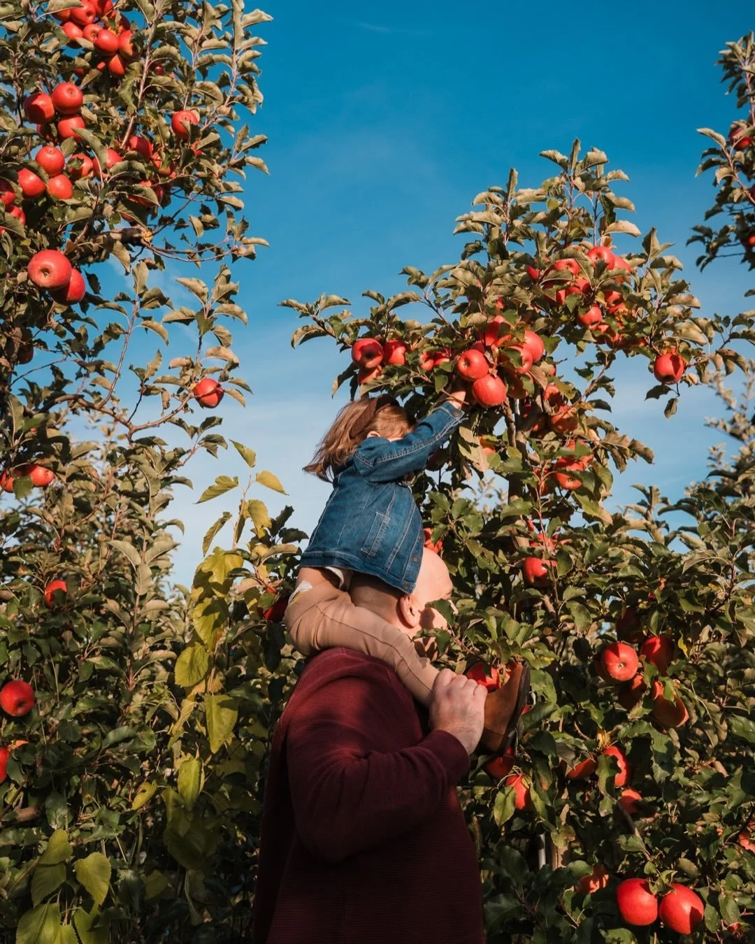 No faces? No problem. I completely respect and understand when families prefer not to have their child&rsquo;s face online. I&rsquo;m always happy to make a conscious effort to take photos that don&rsquo;t show faces in addition to all the standard h