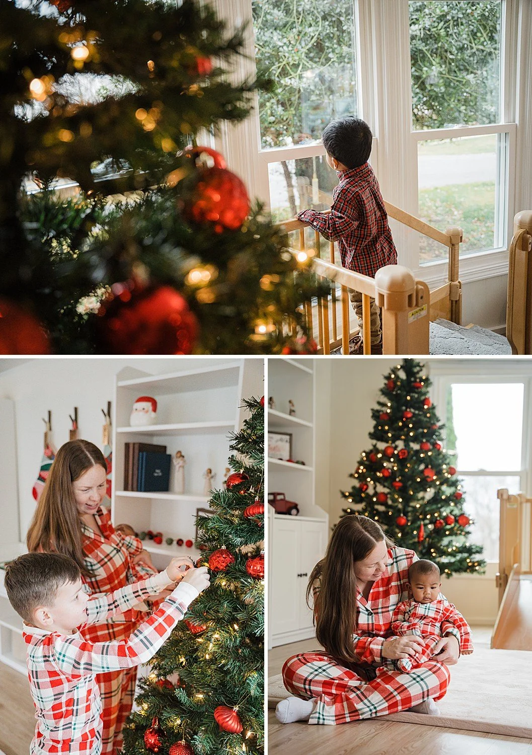 In home family Christmas photo session