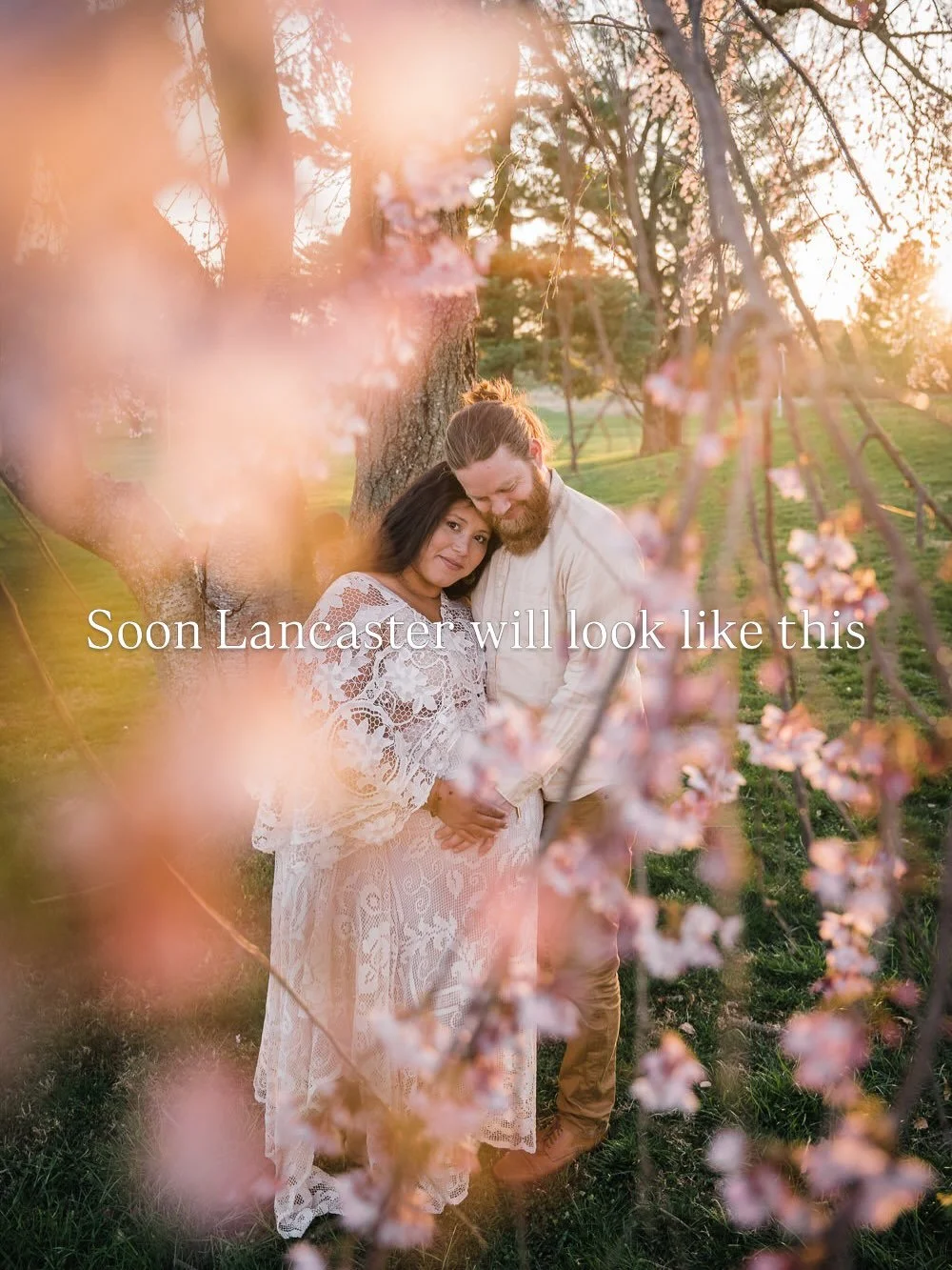 Spring is right around the corner and I know we&rsquo;re all ready for it. All of these photos were taken in April or May so if you want flowering trees (cherry blossoms, flowering orchards, magnolias, etc) or bushes (forsythia, rhododendrons and aza