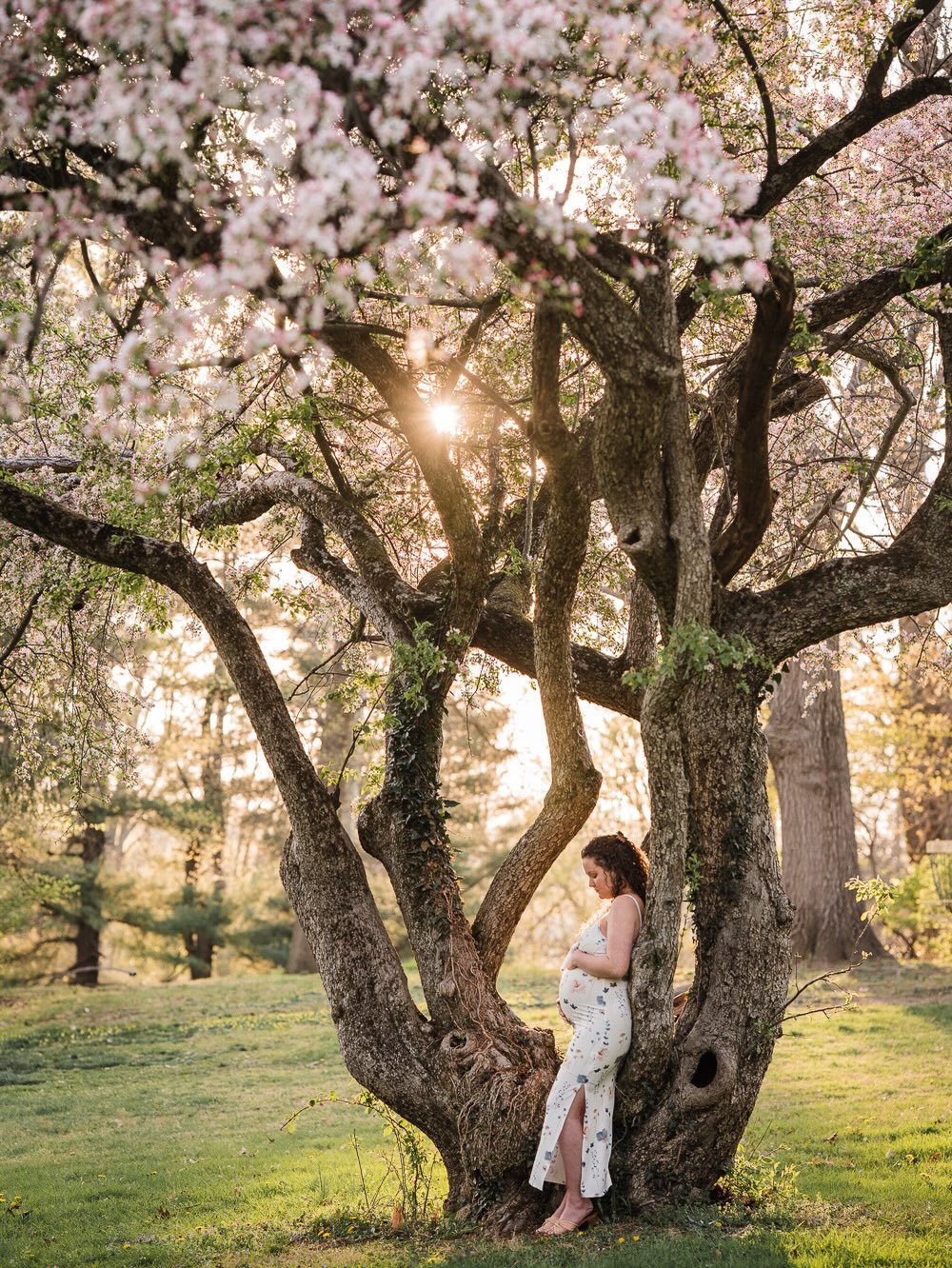 Daydreaming about warmer weather over here. Spring is on the horizon and I&rsquo;ve only got a few golden hour dates left for April! 

In an attempt to streamline my booking process, you can now view my calendar for April/May and pay your deposit onl