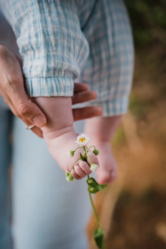 Lancaster Family Photographer 1.jpg