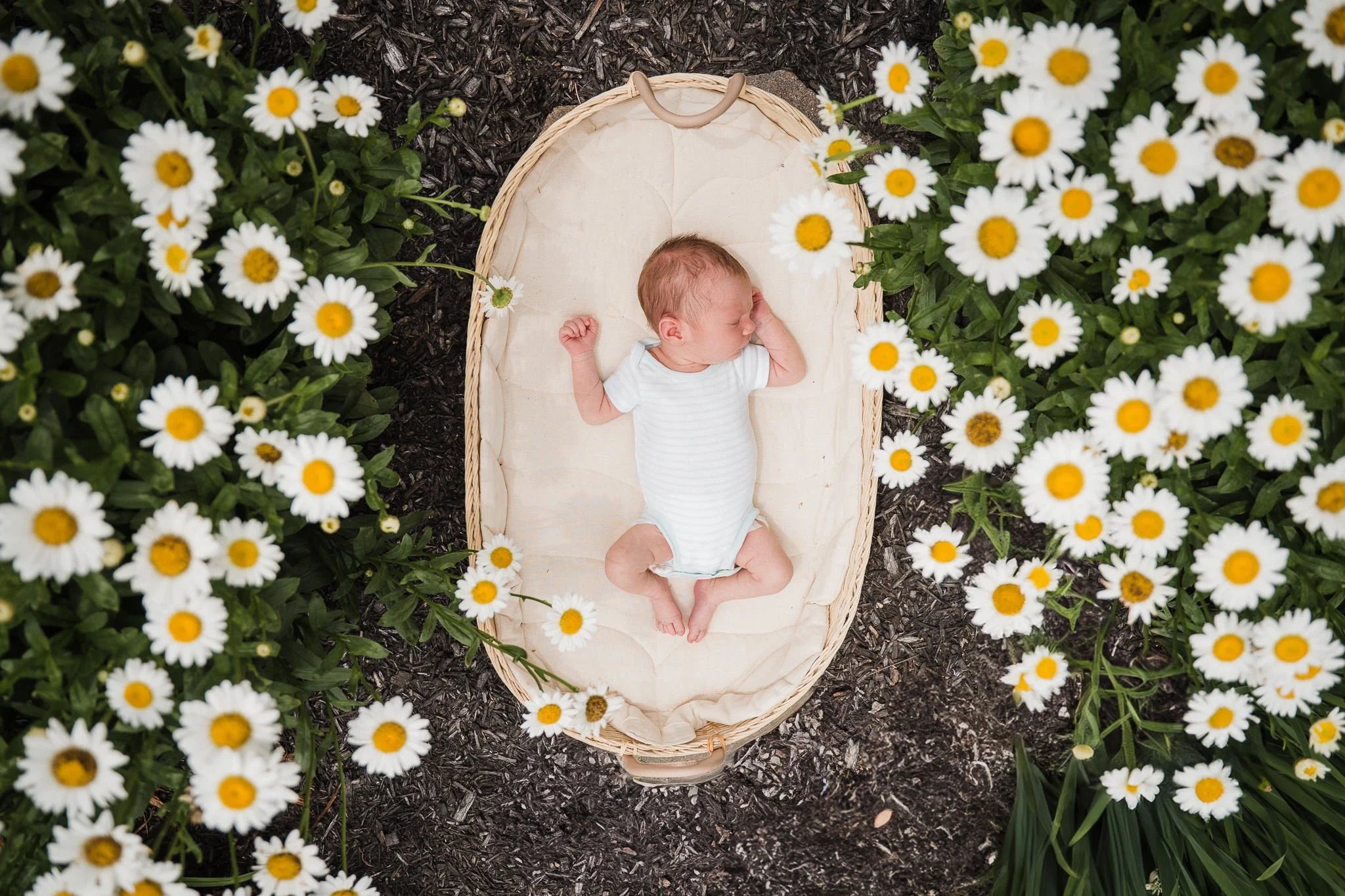 Lancaster_newborn_photographer_67.jpg
