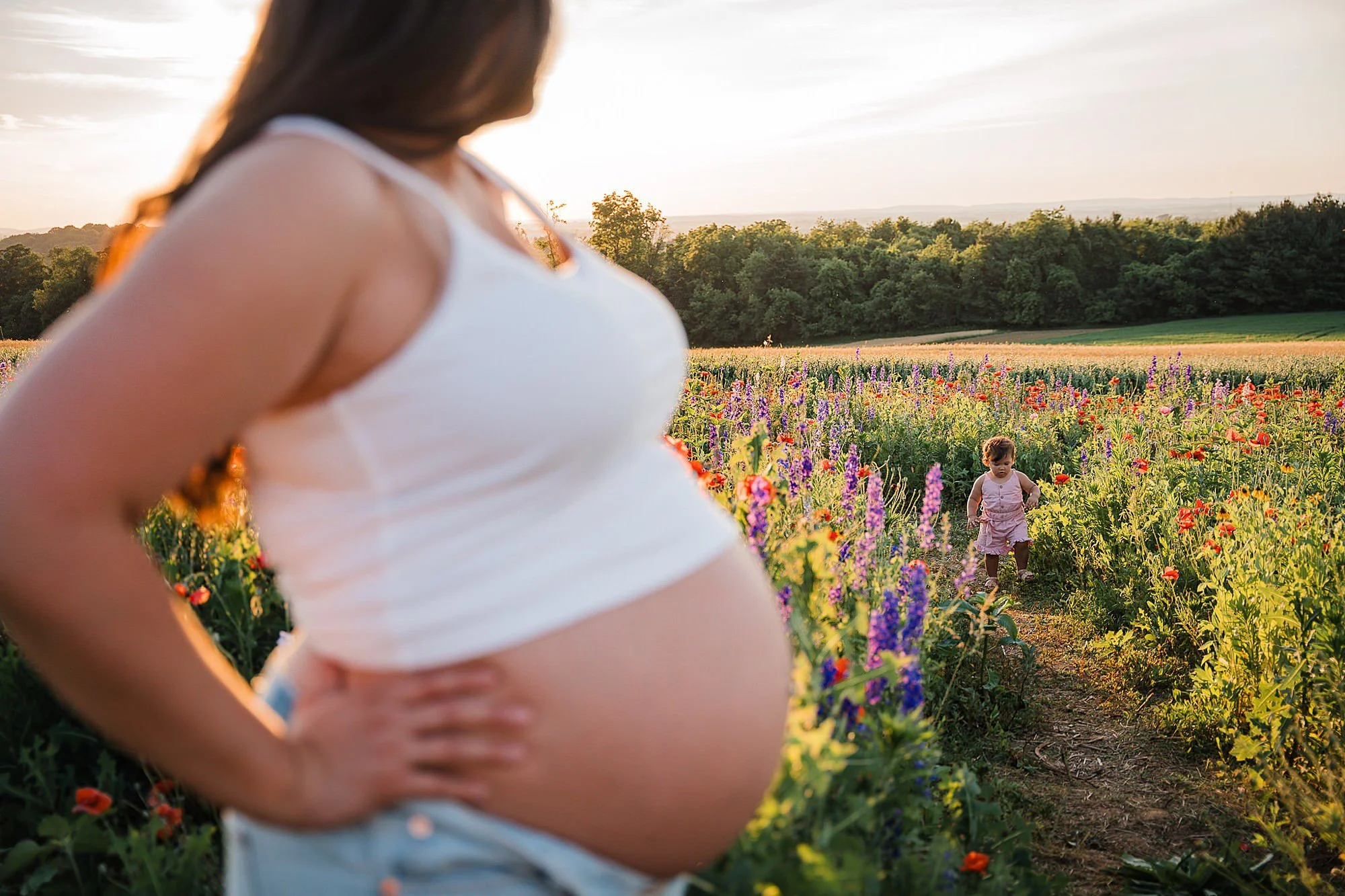 Bare_belly_maternity_photos_wildflowers_Lancaster_15.jpg