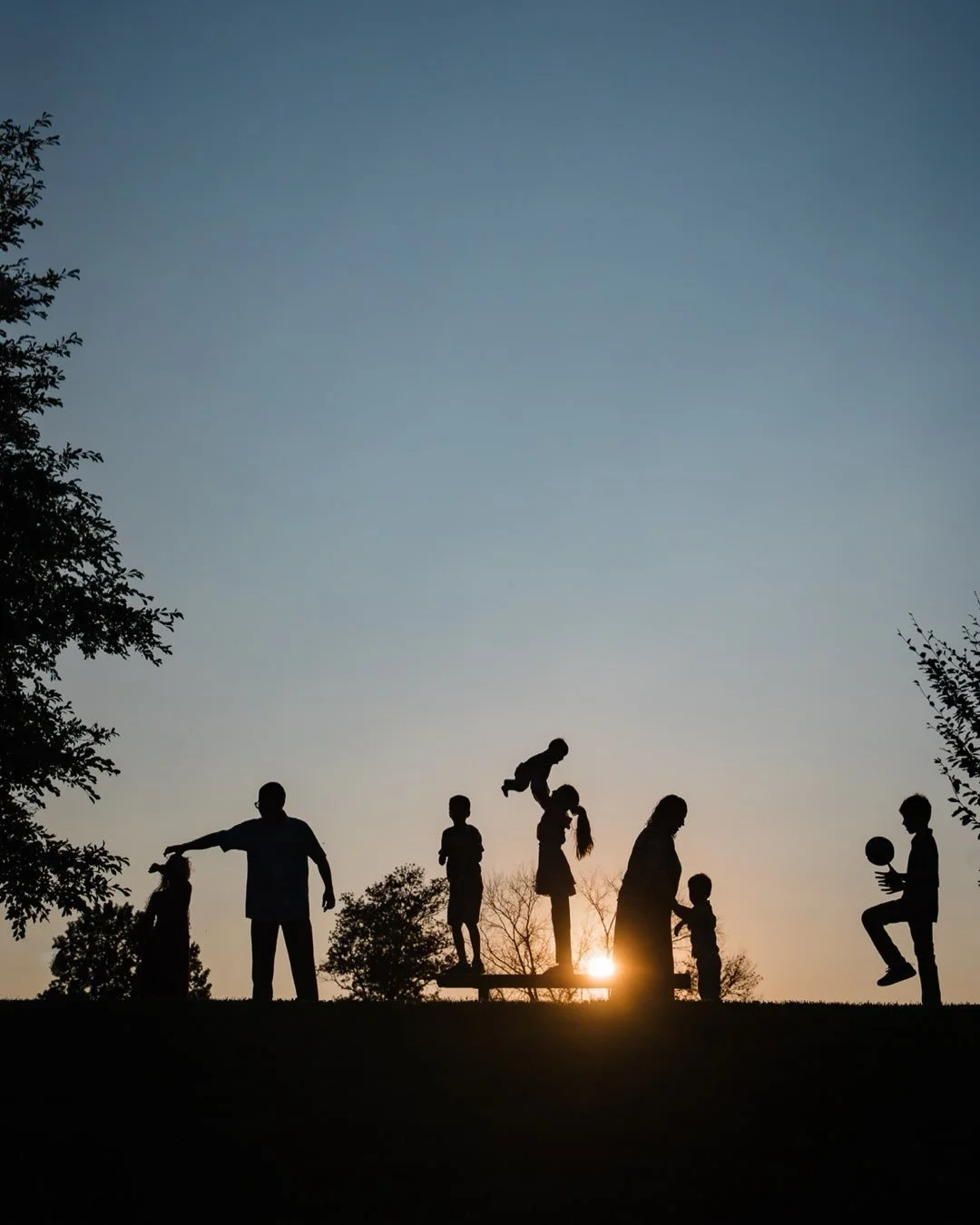 I was honored and delighted to do a silhouette photo session for this family of 8. This is the first time I&rsquo;ve had a family specifically request a photo session entirely of silhouettes! 

I love capturing silhouettes and if you want to include 