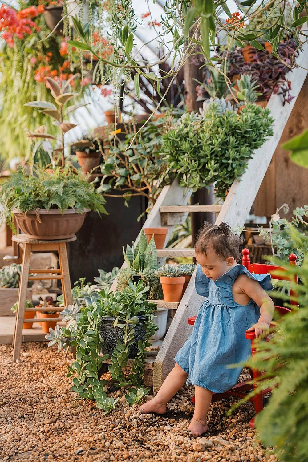 Lancaster_Greenhouse_photo_session_1.jpg