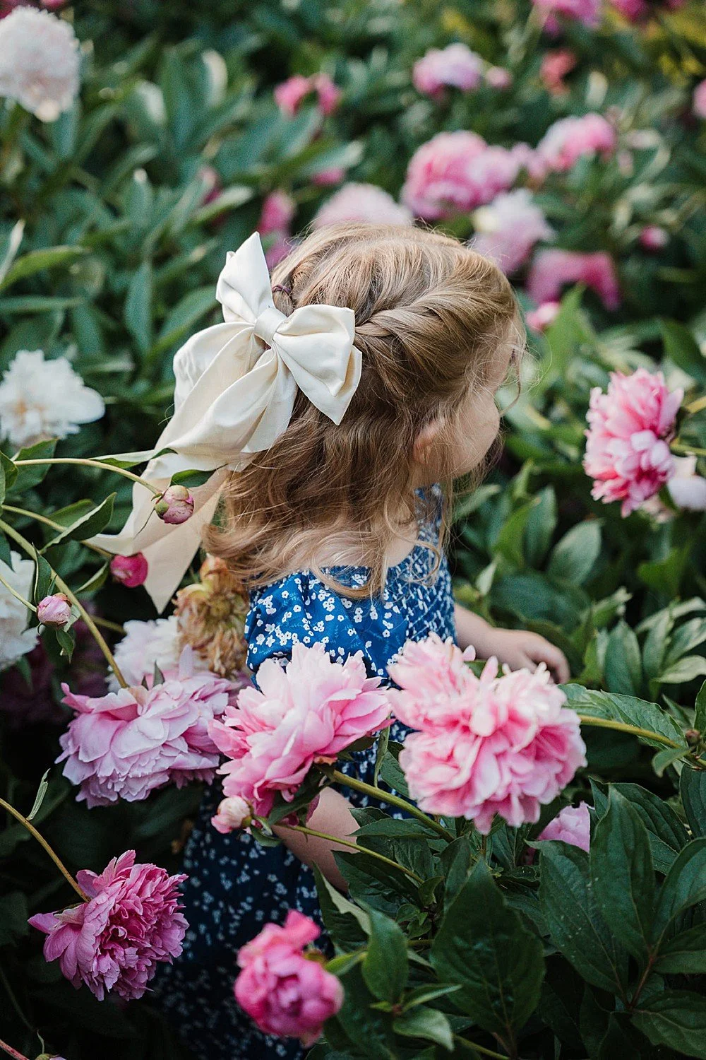 A little girl stands in a sea of peony flowers in Lancaster, PA looking away from the camera so you can’t see her face.