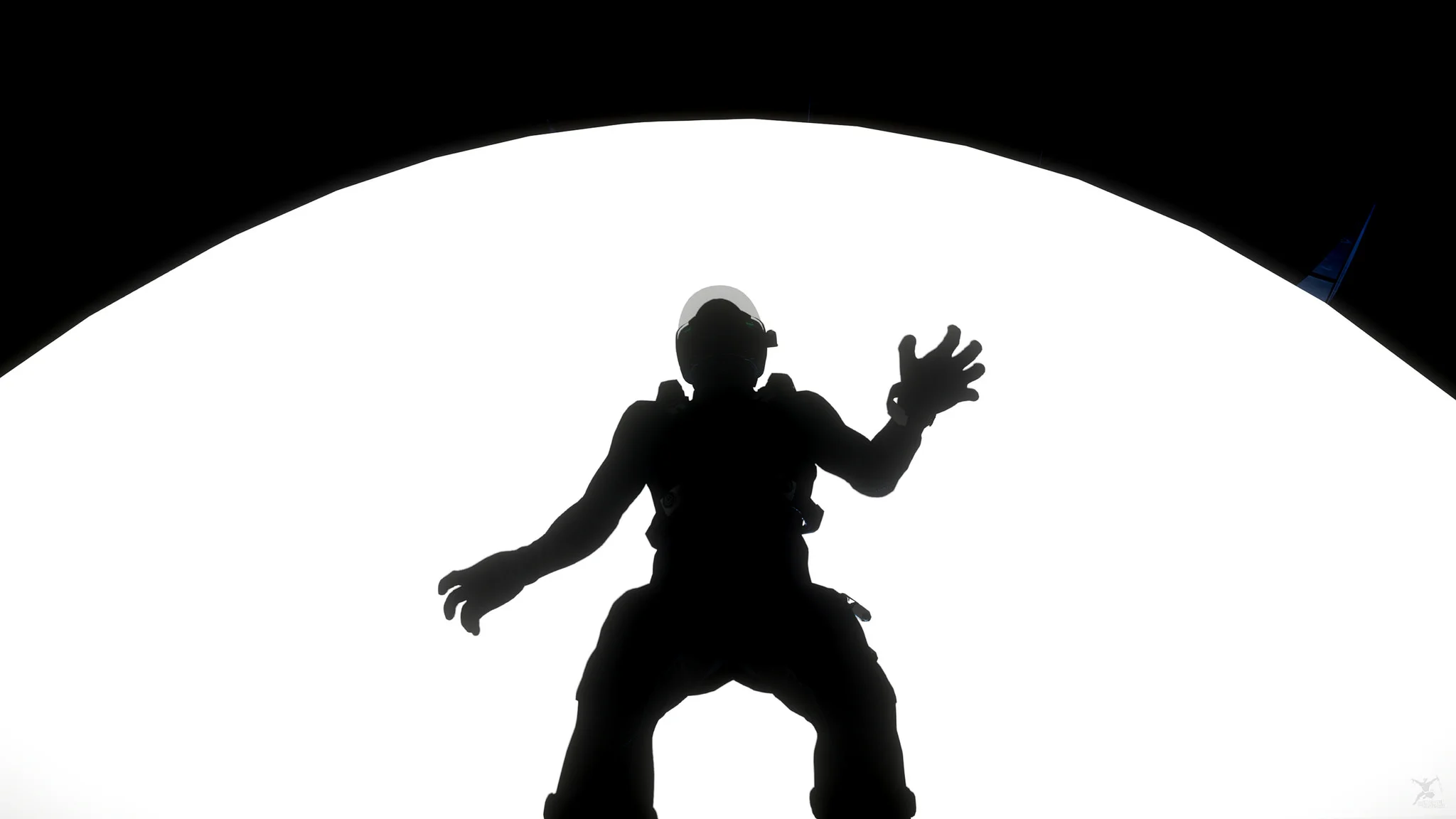 The Prisoner