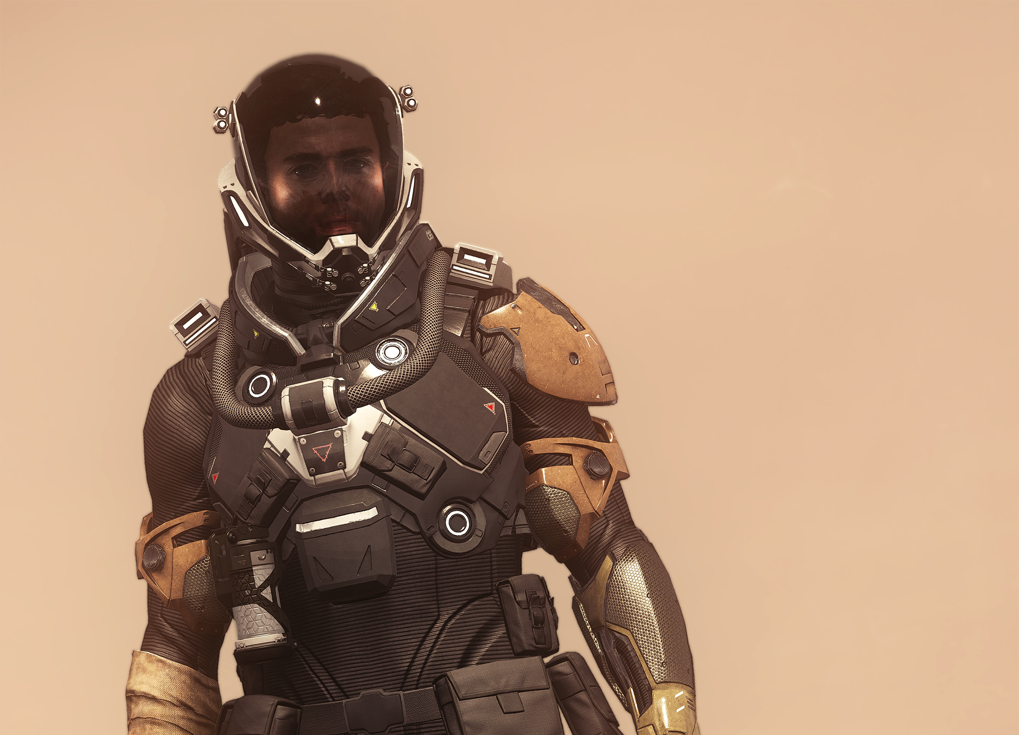 The Stranger