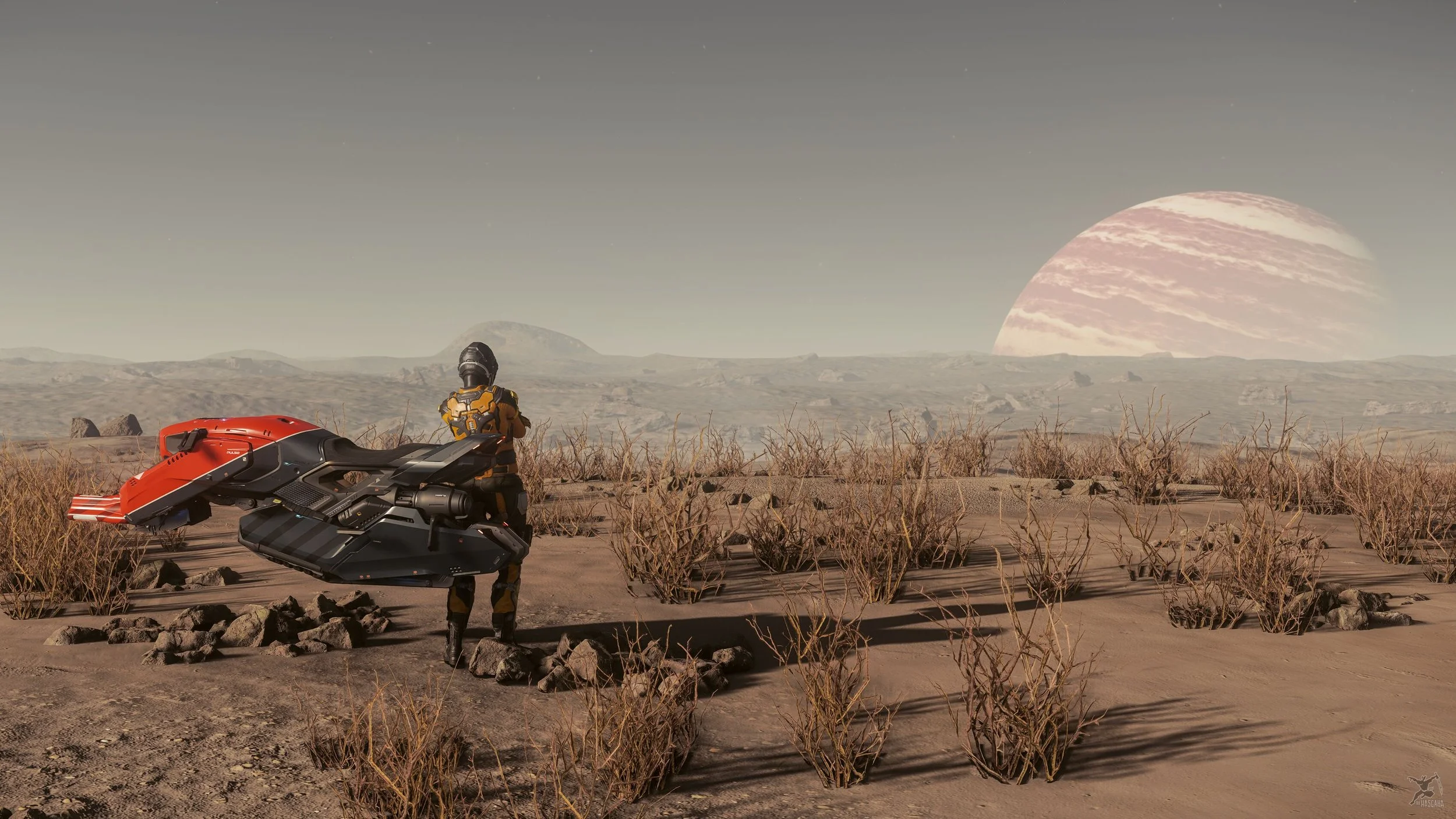 SC-4.0_20250128_103506_Pulse-standing-Daymar_f.jpg