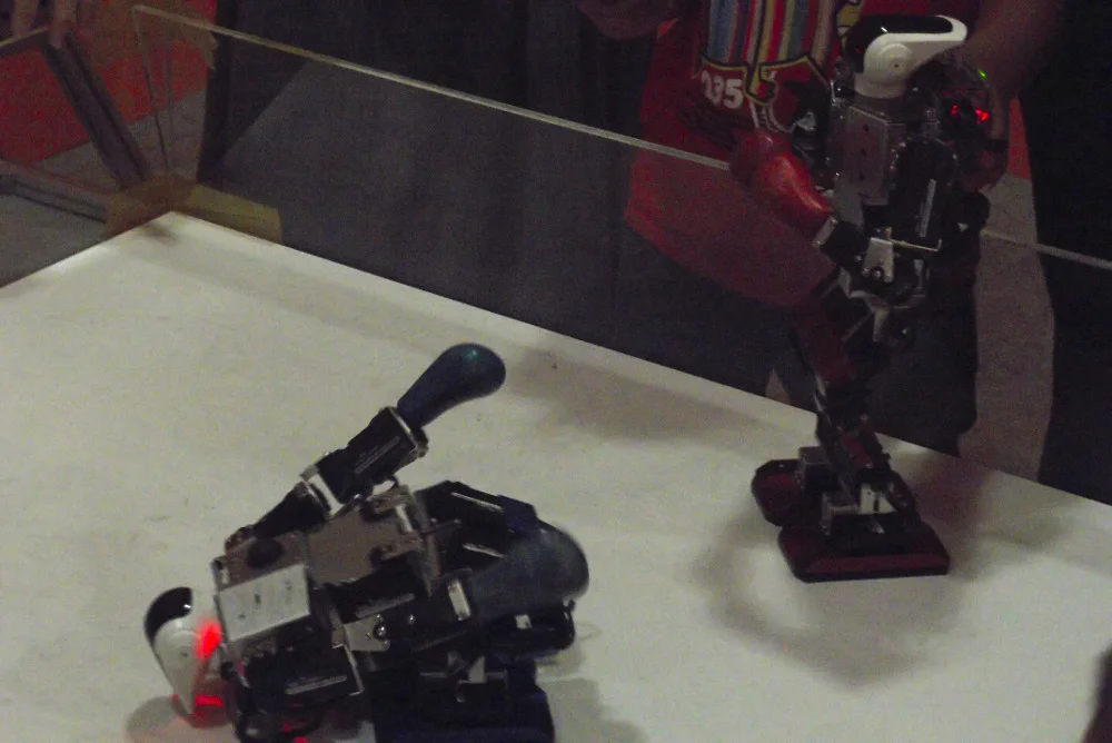 Kung-Fu-Robots-in-Defeat.jpg