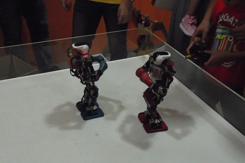 Kung-Fu-Robots.jpg