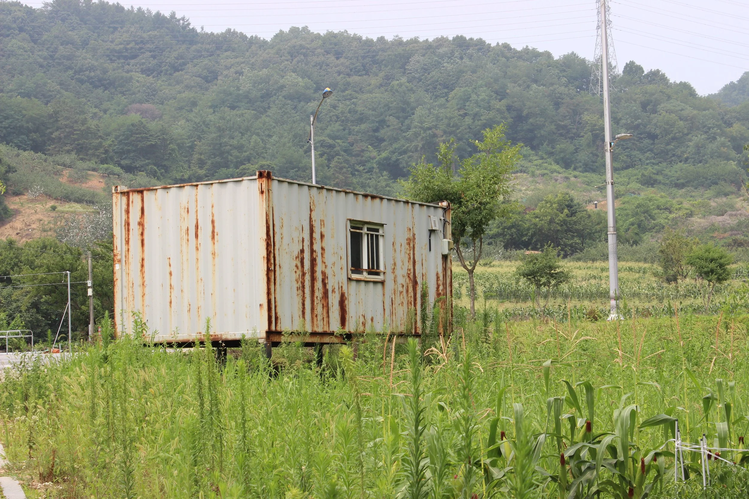 Container.jpg