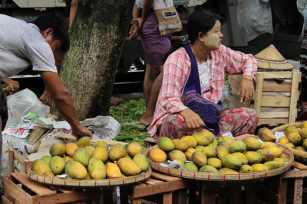 Mango-Stand.jpg