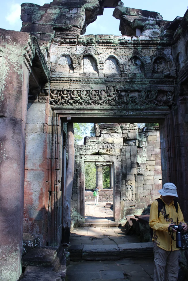 Dappled-ruins-2.jpg