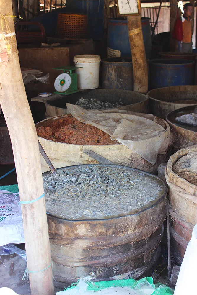 fish-barrels.jpg
