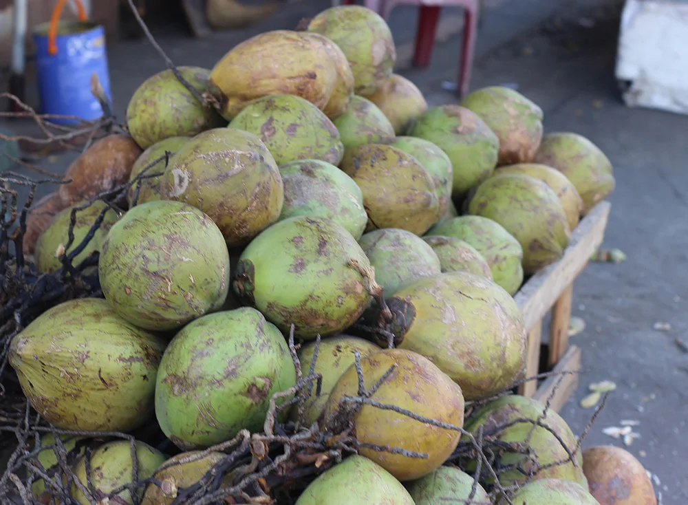 Name Fruit 3