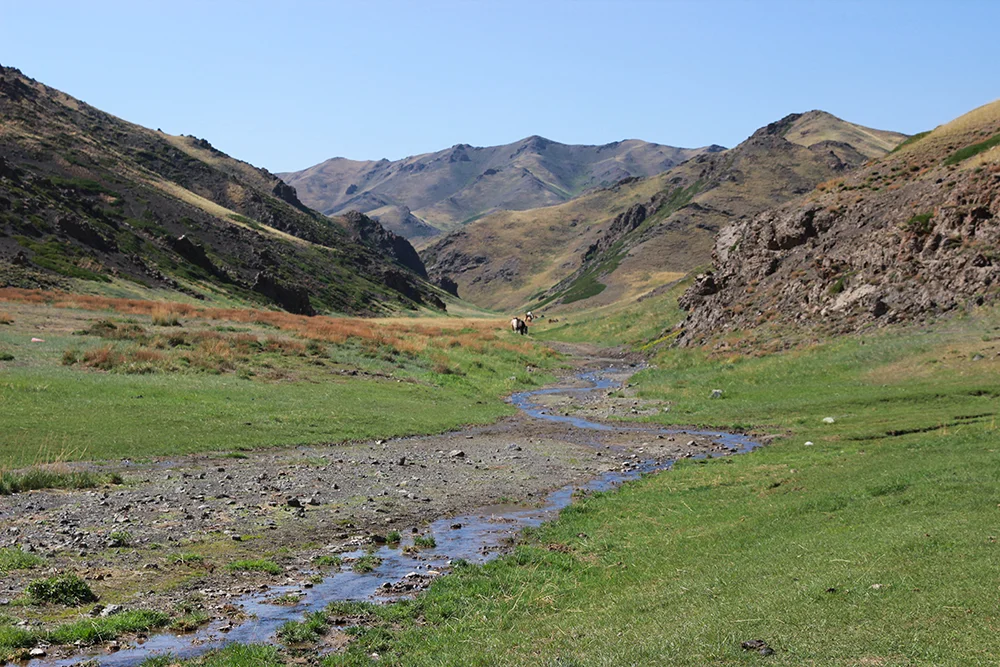 Mountain-Stream-b.jpg