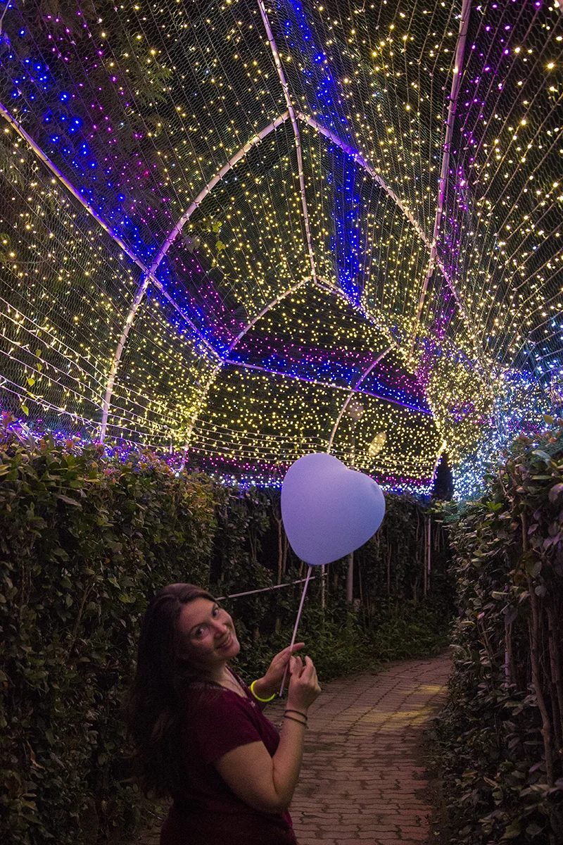 Romantic Maze, LED Canopy.jpg